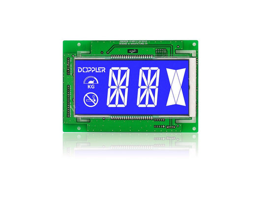 Segment LCD Module